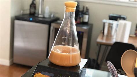 How to Make a Yeast Starter For Your Homebrew