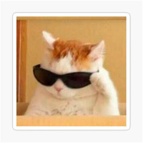 "cat with glasses meme" Sticker for Sale by valwerty | Redbubble