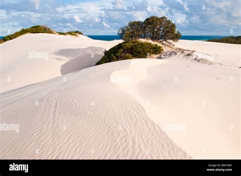 Coastal sand dunes, Moreton Island, Queensland, Australia Stock Photo ...