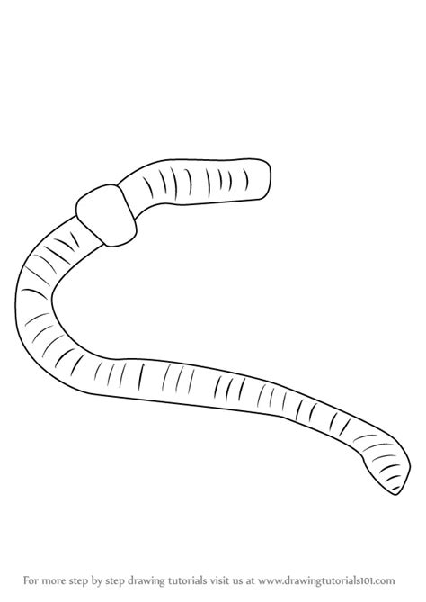 Learn How to Draw a Worm (Worms) Step by Step : Drawing Tutorials