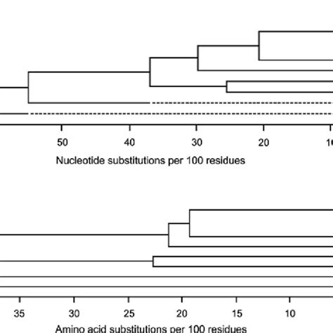 Phylogenetic analysis of the nucleotide sequence (A) and predicted ...