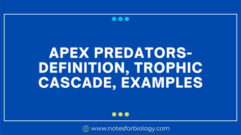 Apex Predators- Definition, Trophic Cascade, Examples