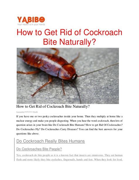 Cockroach Bite Marks On Baby