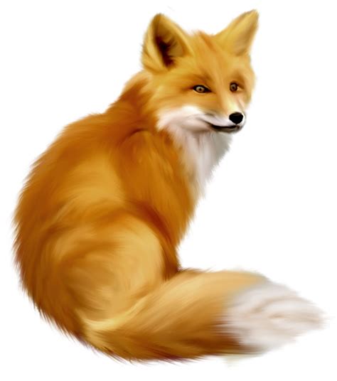 Free Fox Transparent Background, Download Free Fox Transparent ...