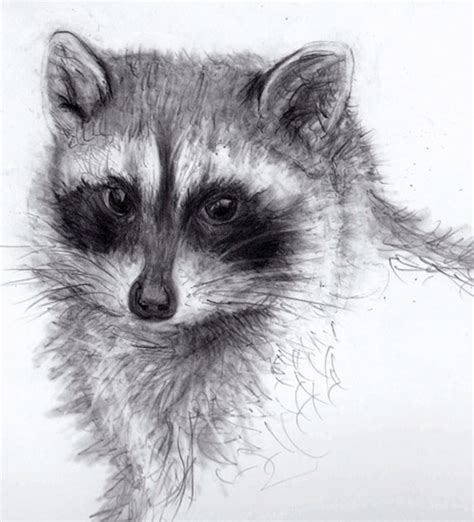 Pencil Animals on Behance