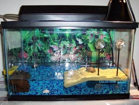 Red Eared Slider Turtle Tank - Aquarium Blog