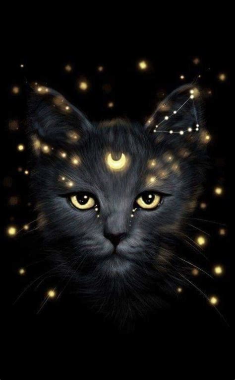 Discover more than 65 galaxy cat wallpaper latest - in.cdgdbentre