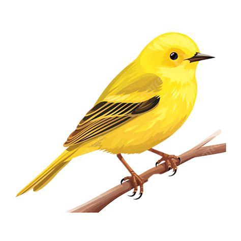 Yellow Warbler Clipart PNG, Vector, PSD, and Clipart With Transparent ...