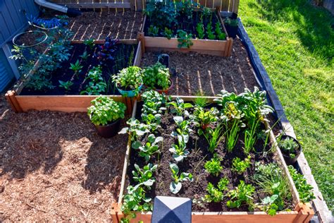 How To Plan A Square Foot Vegetable Garden - The Easiest Way To Grow ...