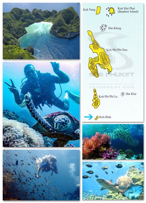 Phi Phi Snorkeling | SSS Phuket™ Quality Phuket Snorkeling Trip