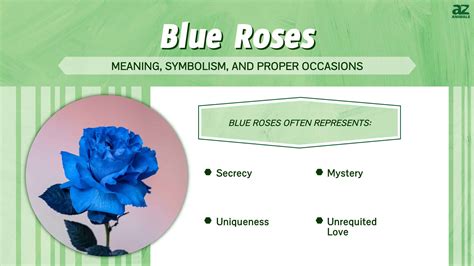 Blue Roses: Meaning, Symbolism, and Proper Occasions - A-Z Animals