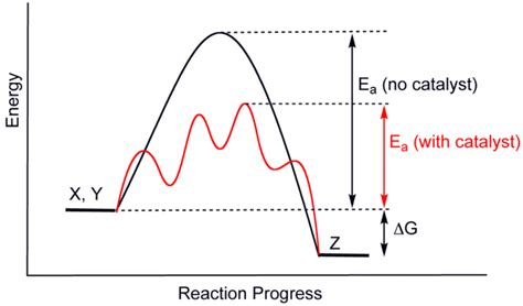 Homogeneous Catalysis | Introduction to Chemistry | | Course Hero