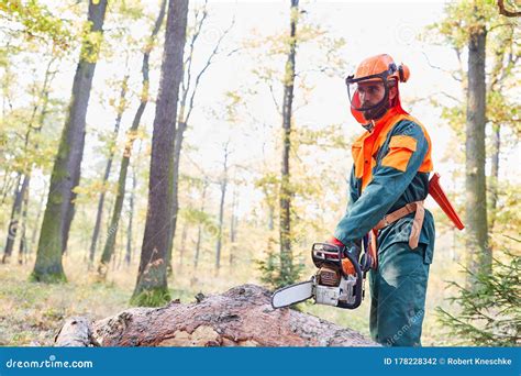 Lumberjack in Protective Gear with Chainsaw Stock Photo - Image of ...