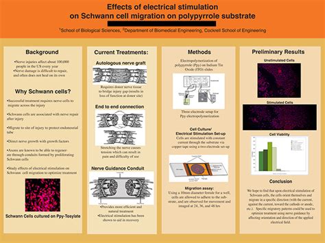 Poster Samples | TEXAS Undergraduate Studies