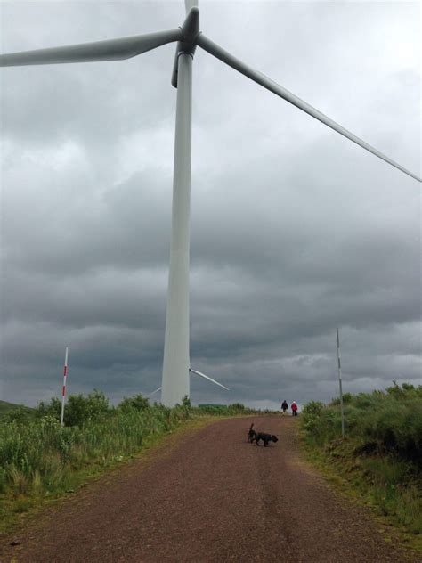 Dog walk at Whitelee Wind Farm · Renfrewshire · Walkiees