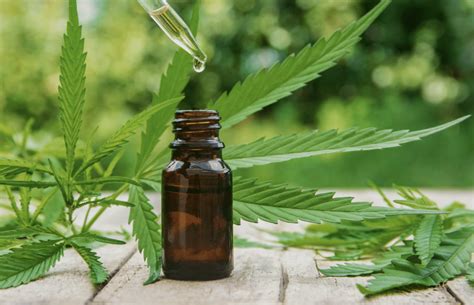 Cannabis Tincture 101: 5 Important Things to Know About Tinctures