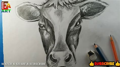 Realistic Cow Drawing