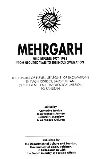 Mehrgarh Civilization