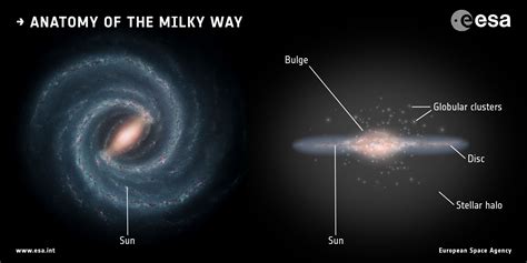 The Merger That Led to the Formation of the Milky Way