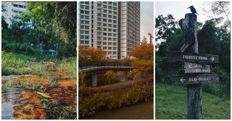 These Scenic Hiking Trails Make For Instagram-Worthy Shots In Singapore