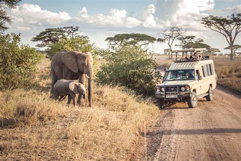 Serengeti National Park | Tanzania Wildlife Safari Destination