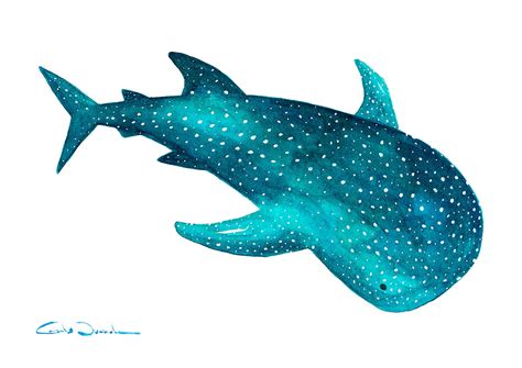 Printable whale shark whale shark wall art whale art print | Etsy