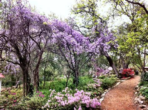 Austin Botanical Gardens in Spring! Famous Gardens, Gorgeous Gardens ...