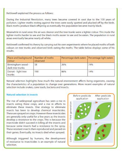 Natural Selection- Examples, PDF | Examples