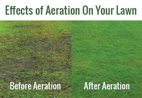 It's Time to Aerate! - Clean Scapes