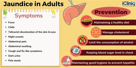 Jaundice In Adults