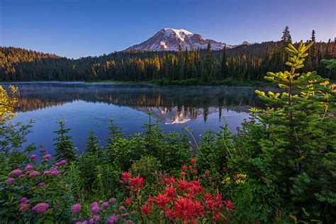 Mount Rainier And Reflection Lake Stock Photos, Pictures & Royalty-Free ...