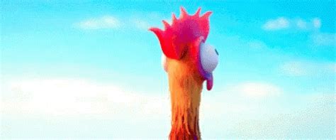 Heihei Moana GIF - Heihei Moana Chicken - Discover & Share GIFs | Moana ...