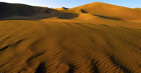 An ecological consultant treks through the Gobi Desert