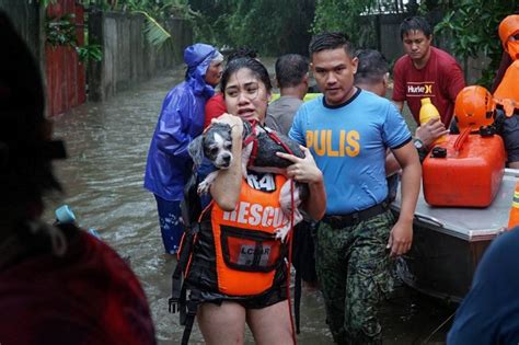 EU donates 500,000 euros to victims of typhoon Egay | ABS-CBN News