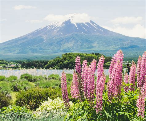 The Most Beautiful Places in Japan