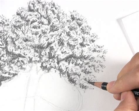 How To Draw Tree Leaves