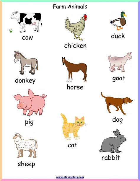 Farm Animals Games Preschool