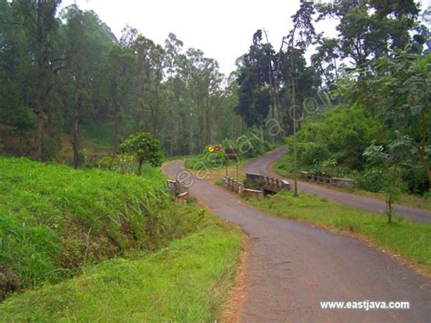 Coban Rondo Waterfall – Visit Indonesia – The Most Beautiful ...