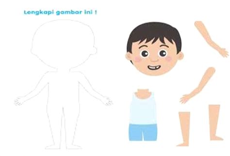 gambar anggota badan kartun - Steven Hughes