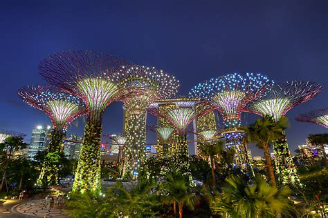 Singapore: Flower Dome and Cloud Forest, a botanical world