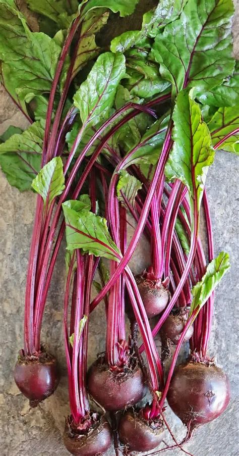 Easy Beet Greens Recipe - Savory Spin