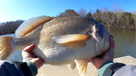 Catching the Biggest Fish of the Year - This is my Big Fish to Beat ...