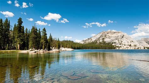 landscape, Nature, Lake, Hills, Forest, Pine Trees, Yosemite National ...