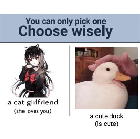 You can only pick one; choose wisely : r/MemeTemplatesOfficial