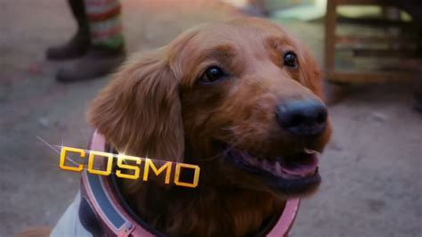 Who is Cosmo the Spacedog? All you need to know about 'Guardians of the ...