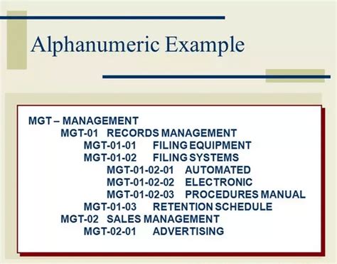 Alphanumeric characters: Functions, Examples and Everything You Need to ...