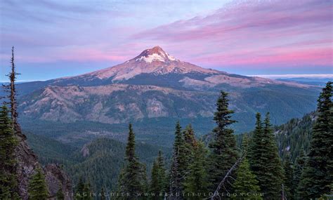 Mount Hood National Forest - Oregon Photography