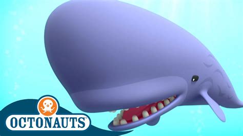 Octonauts Sperm Whale