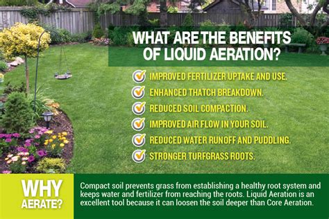 Liquid Aeration - Lawnganics - An Organic Approach to Lawn Care