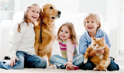 Family Photo With Dog And Cat - PetsWall